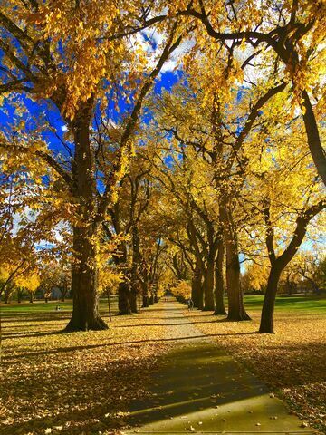 Time to Fall