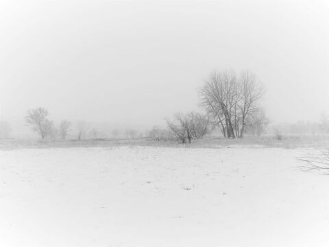 Black & White